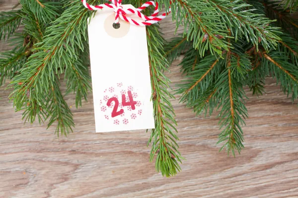 Örökzöld fa és karácsonyi tag — Stock Fotó