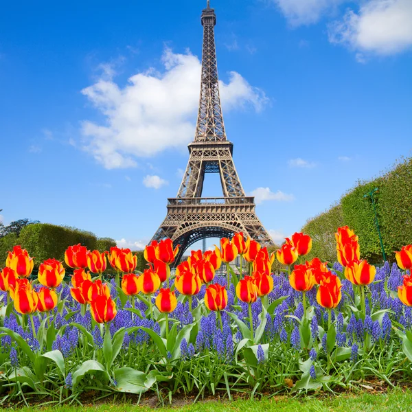 Eiffeltoren op lente, Frankrijk — Stockfoto