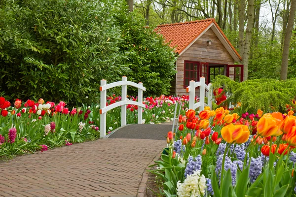 Hut in a spring — Stock Photo, Image