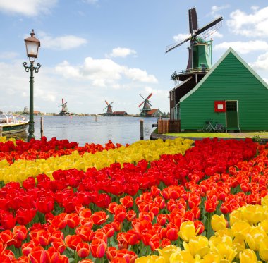 zaanse Schans'a Hollanda Yeldeğirmeni