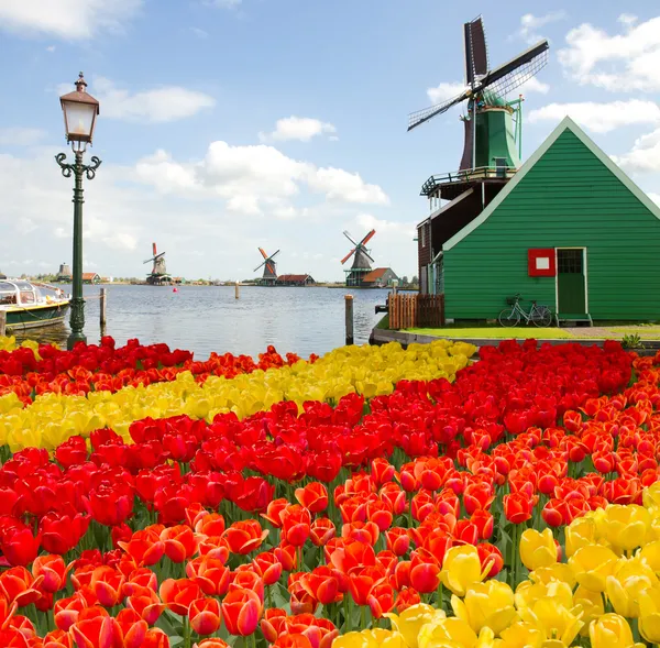 Ολλανδικό ανεμόμυλο του zaanse schans — Φωτογραφία Αρχείου