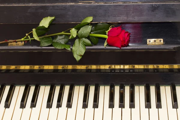 Une rose rouge au piano — Photo