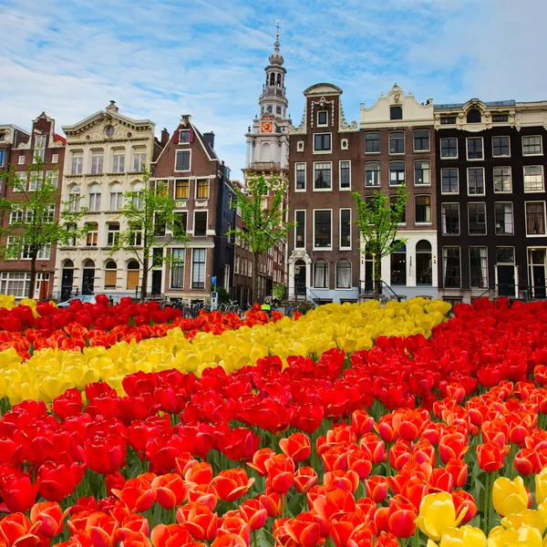 Fachadas de casas antiguas, Amsterdam, Países Bajos — Foto de Stock