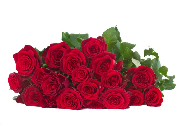 Bouquet of dark red roses Stock Picture