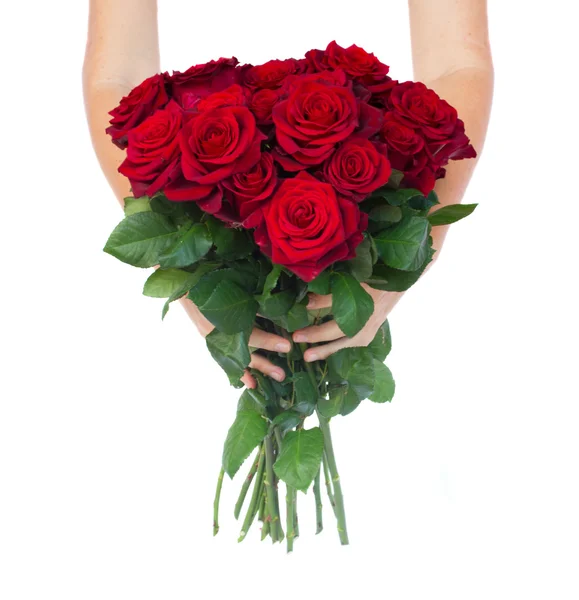 Hands holding roses — Stock Photo, Image