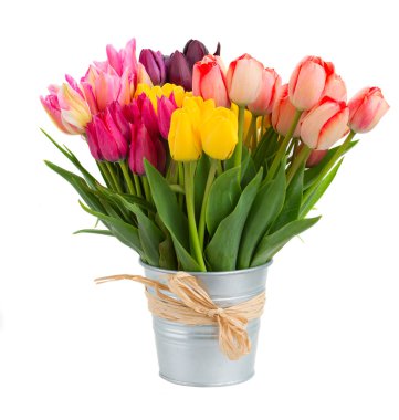 Lale çiçek metal kapta grup