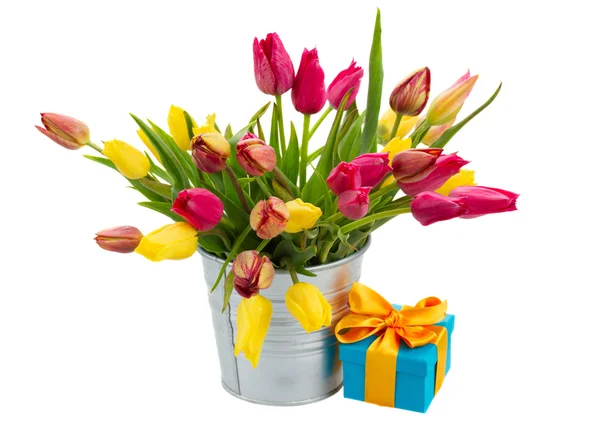 Pentola con tulipani rosa e gialli con confezione regalo — Foto Stock