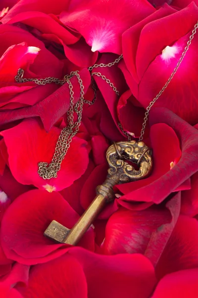 Klíč s červenou růží — Stock fotografie