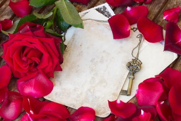 Vintage background with rose petals and key — Stock Photo, Image