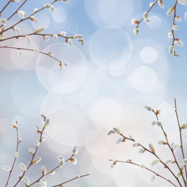 Willow twigs kedicikler çerçeve ile