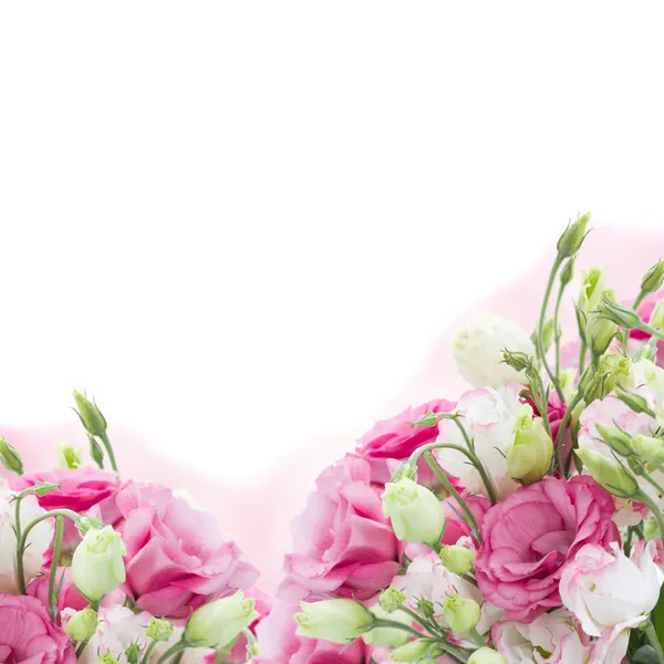 Bos van roze eustoma bloemen — Stockfoto