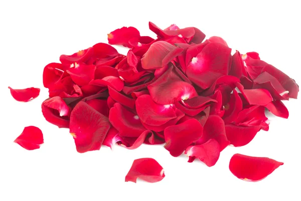 Pile of rose petals — Stockfoto