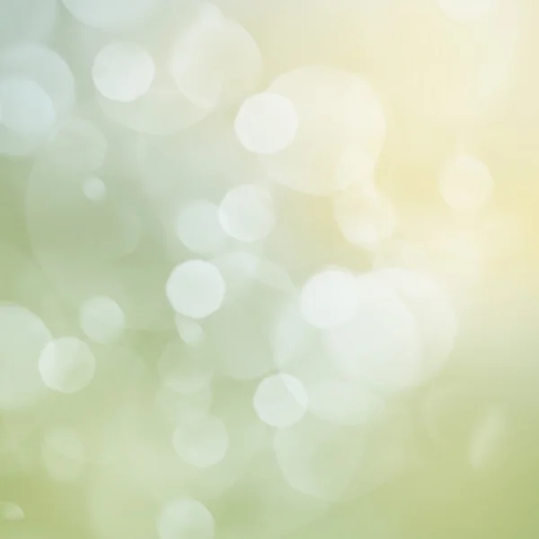 Green Festive background — Stock Photo, Image