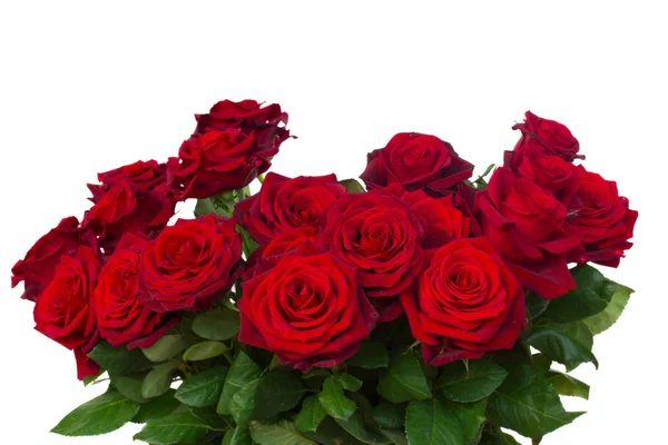 Bunch of dark red roses close up — Stock Photo, Image