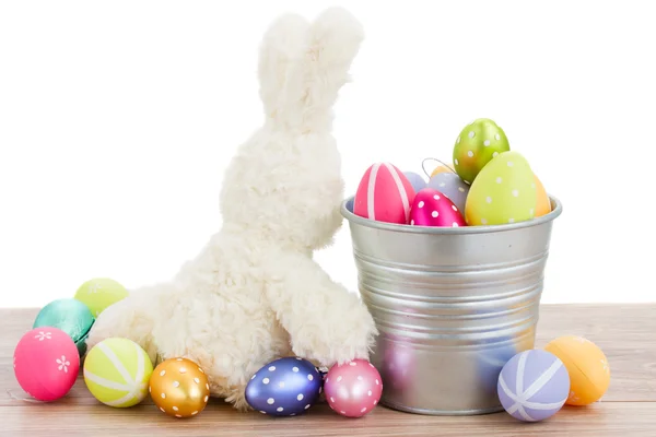 Fluffy easter bunny with eggs — Stock Photo, Image