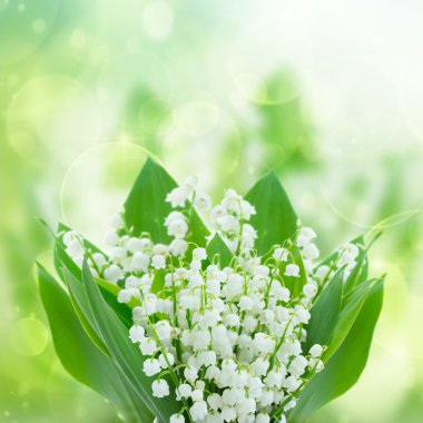 Lilly of the valley flowers clipart