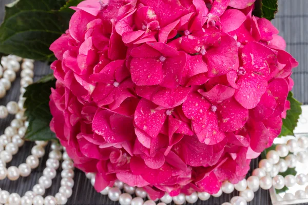 Flores e pérolas de hortensia rosa — Fotografia de Stock