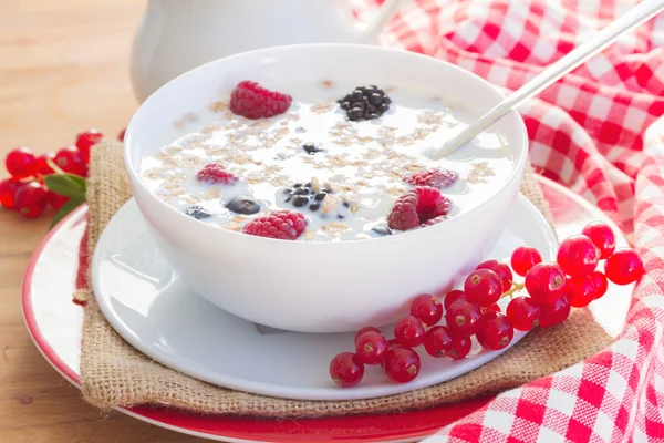 The oat flakes with fresh berries — Stock Photo, Image