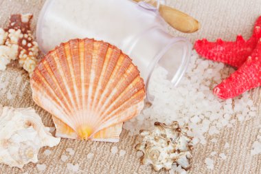 Sea spa ayarı tarak ile tarak shell
