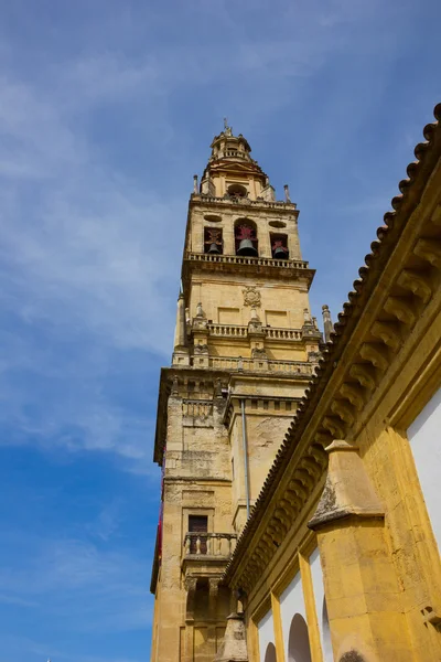 Bell tower of cathedral, Cordoba, Spain — Stock Photo, Image