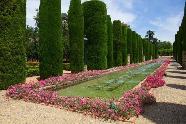 Bahçeler de alcazar Cordoba, İspanya — Stok fotoğraf