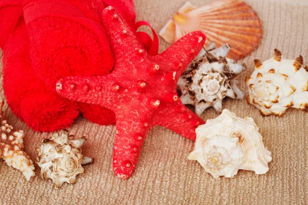 Sea spa setting with red star fish — Stock Photo, Image