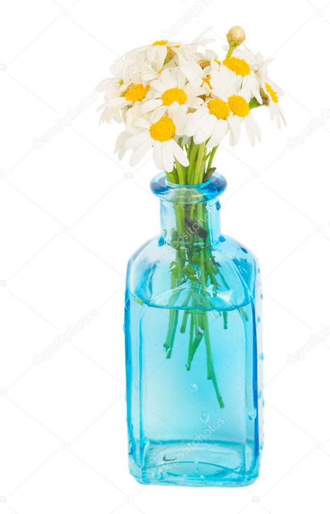 Daisy flowers posy in blue glass