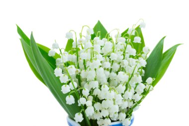 Lilly of the valley blooming posy clipart