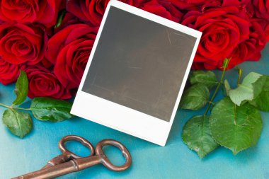 taze kırmızı güller ile anlık fotoğraf