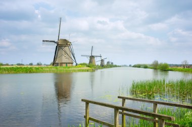 Hollanda yel değirmenleri yaz gün