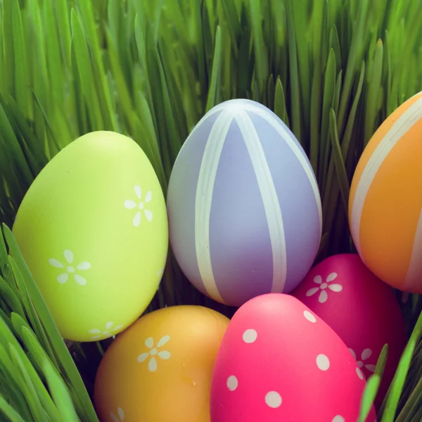 Easter eggs in grass — Stock Photo, Image