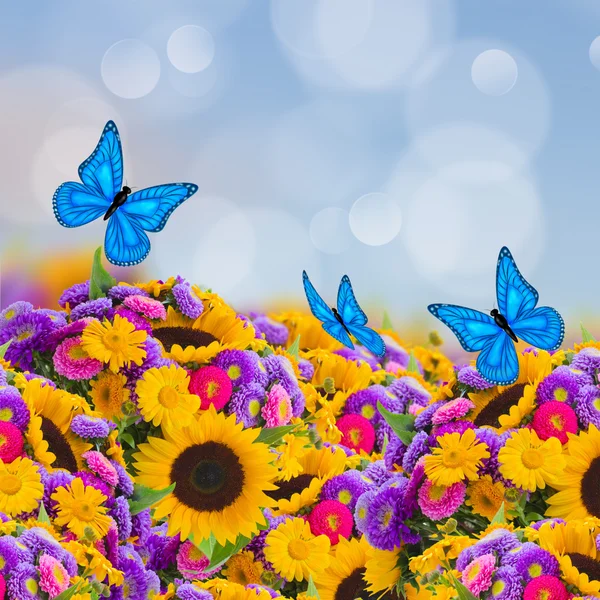 Flowers garden with sunflowers and butterflies — Stock Photo, Image