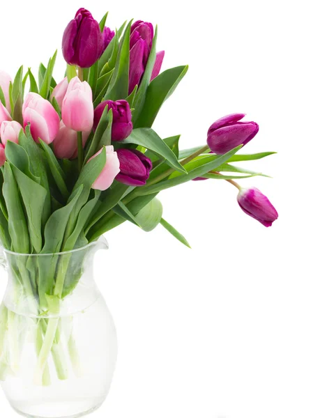 Pink   and violet tulips bouquet close up — Stock Photo, Image