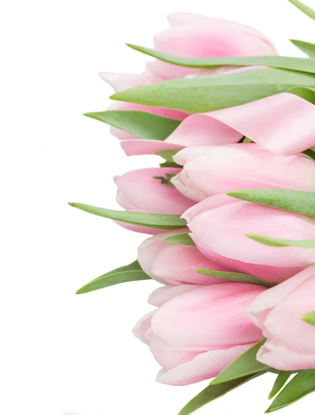 Pink   tulips border — Stock Photo, Image
