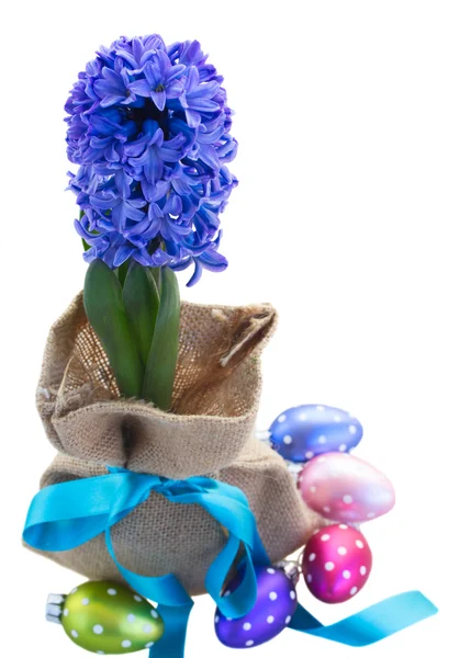 Μπλε λουλούδια υάκινθων με πασχαλινά αυγά — Φωτογραφία Αρχείου