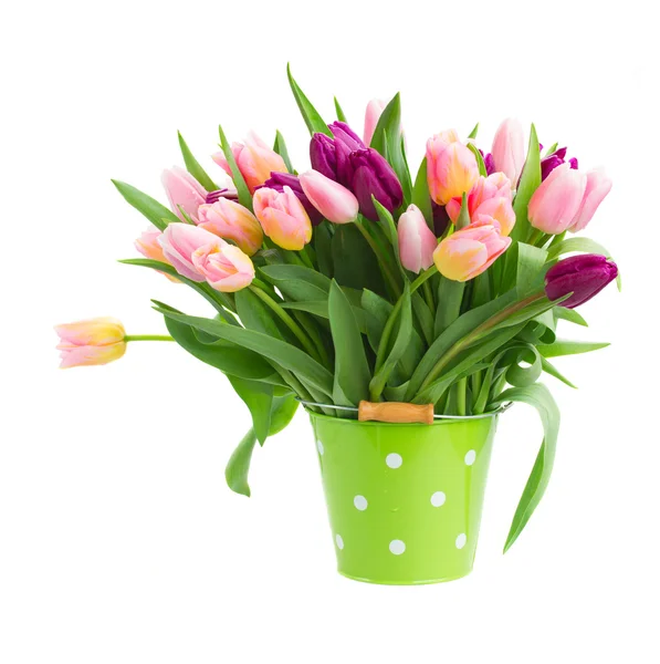 Pink and violet tulips in pot — Stock Photo, Image