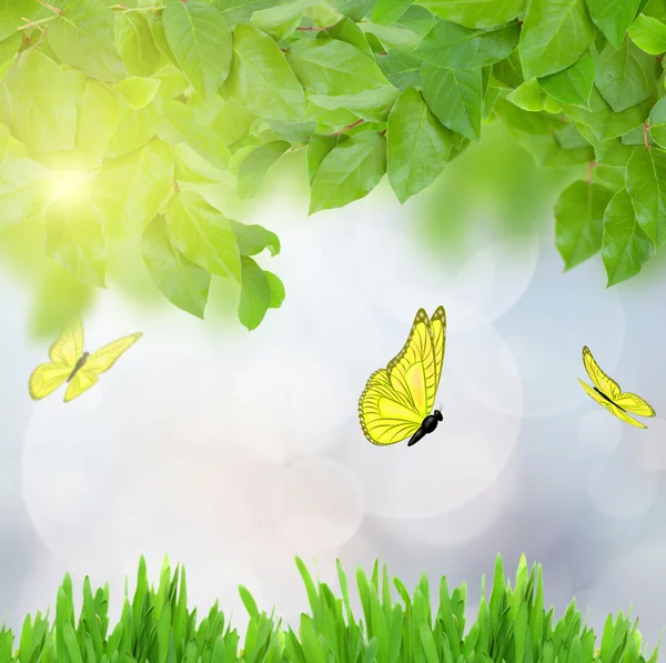 Green spring garden with butterflies — Stock Photo, Image