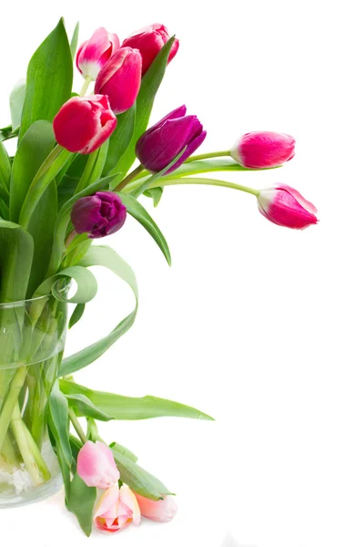 Růžové a fialové tulipány kytice — Stock fotografie