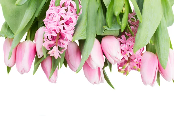 Рожеві тюльпани та квіти гіацинта на білому — стокове фото