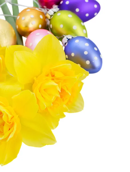 Daffodil flowers and easter eggs — Stock Photo, Image