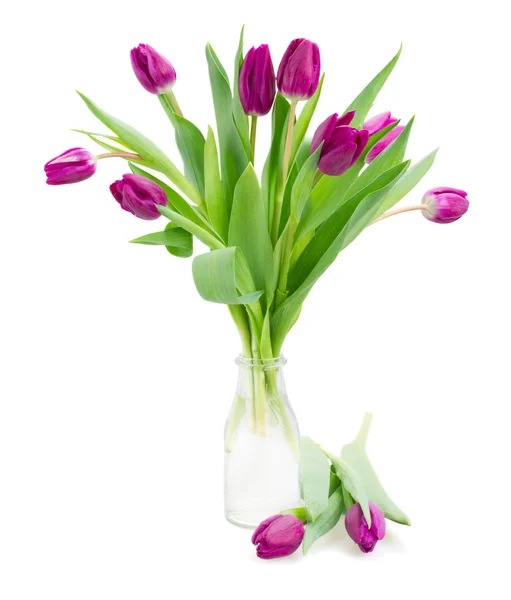 Bouquet di tulipani viola — Foto Stock