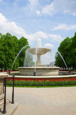 Saski park, Varşova