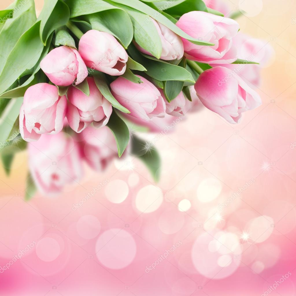 Pink   tulips