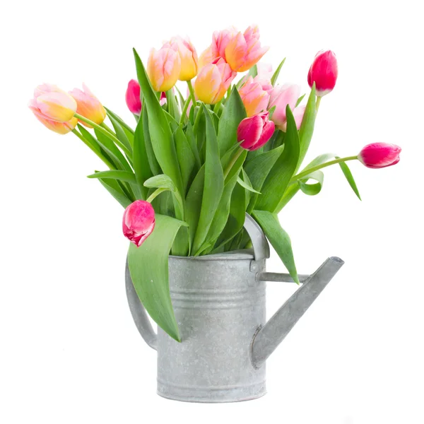 Bouquet di tulipani rosa e rossi in tanica — Foto Stock