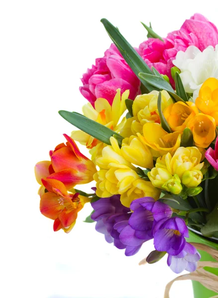 Freesia and daffodil  flowers — Stock Photo, Image