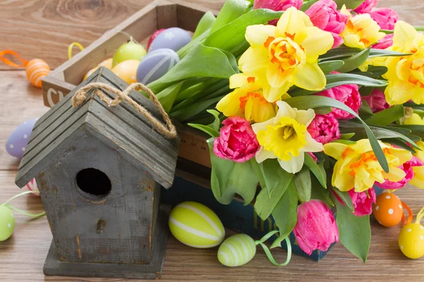 Cage à oiseaux avec tulipes et jonquilles — Photo