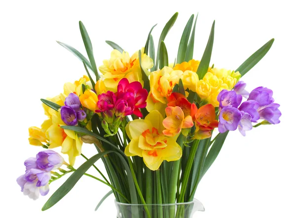 Freesia y flores de narciso se cierran —  Fotos de Stock