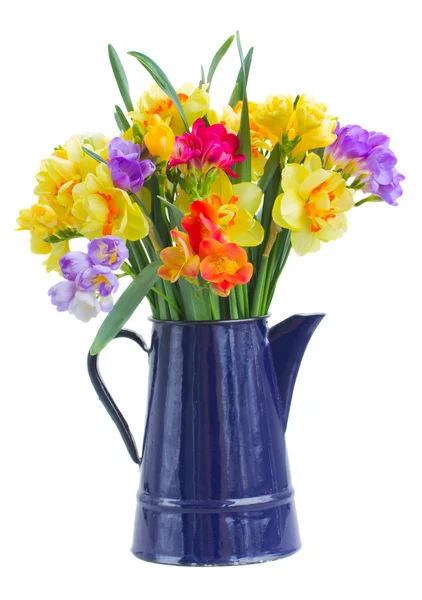 Freesia and daffodil  flowers in blue pot — Stock Photo, Image