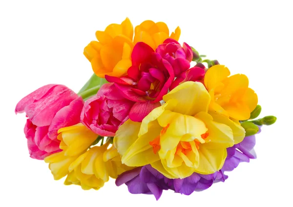 Kytička z jarních květin — Stock fotografie