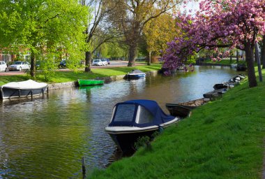 eski şehir, haarlem, Hollanda kanal